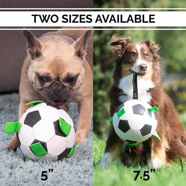 Soccer Ball Dog Toy H35856