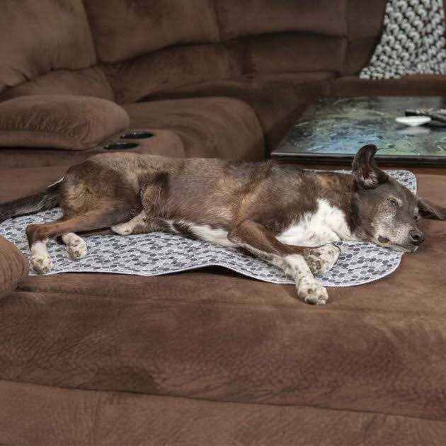 Quilted Washable Reusable Dog Pee Pads C588