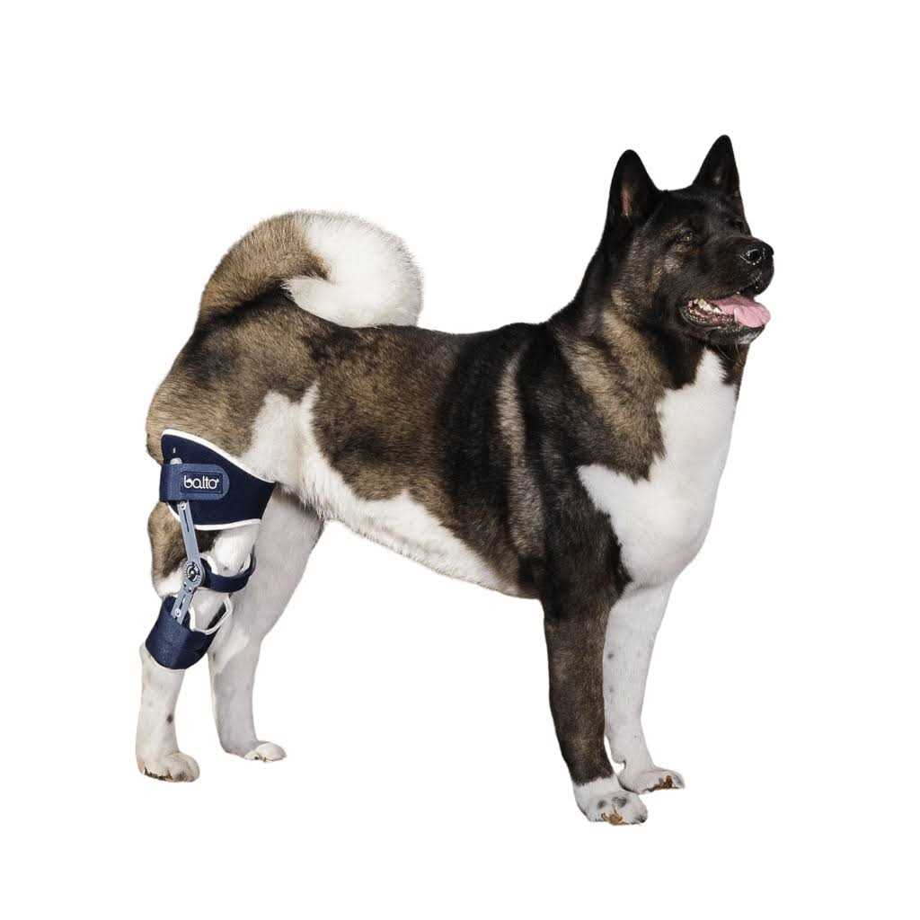 Adjustable Hinged Dog Knee Brace K16040