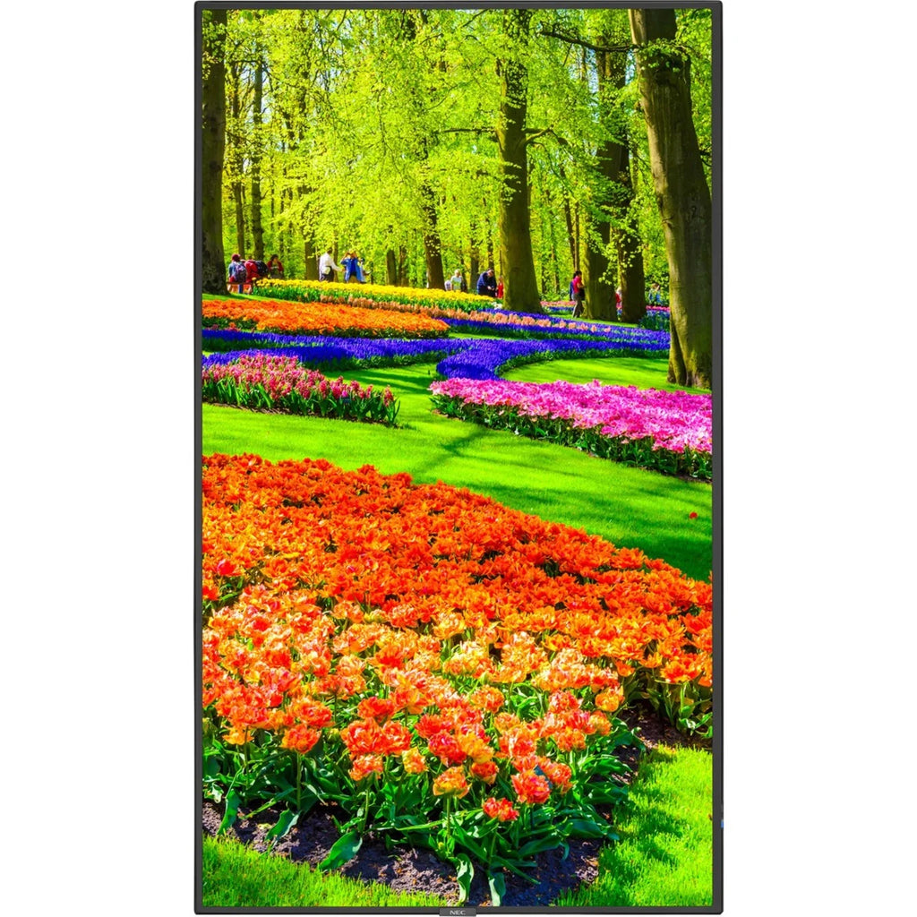 Black 43" 3840 x 2160 (4K) LED LCD Monitor E106