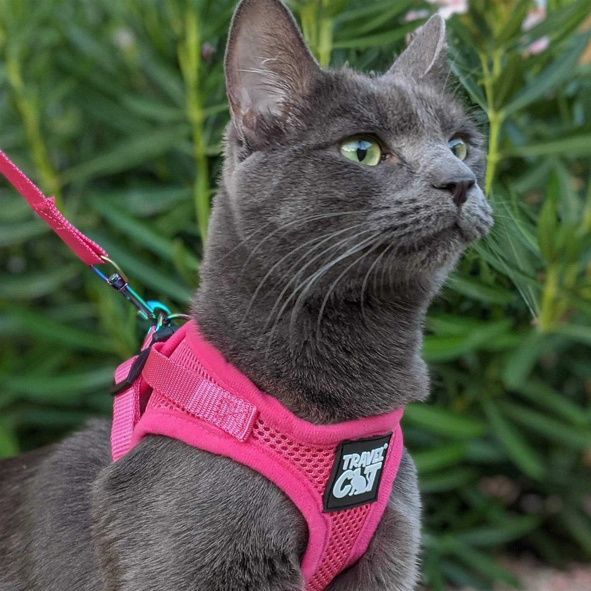 Reflective Cat & Kitten Harness and Leash F8816