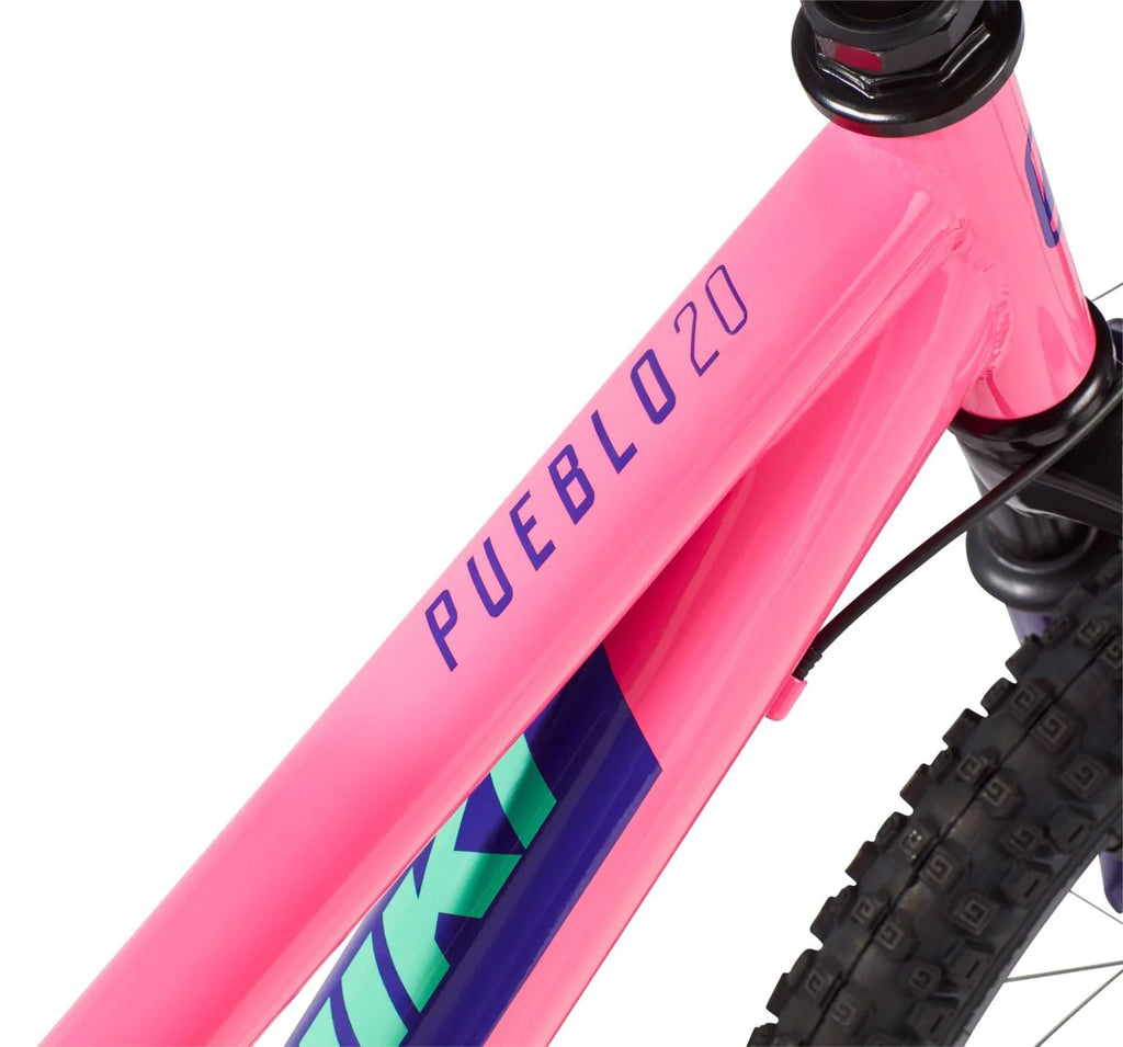 20'' Mountain Bike N89656